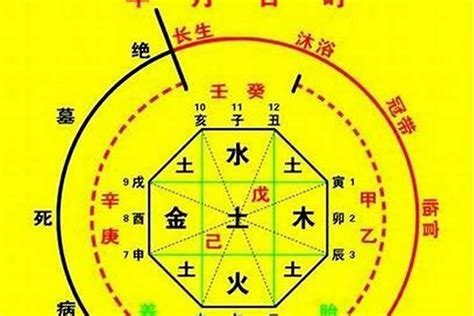 八字命盤 免費|生辰八字算命、五行喜用神查詢（免費測算）